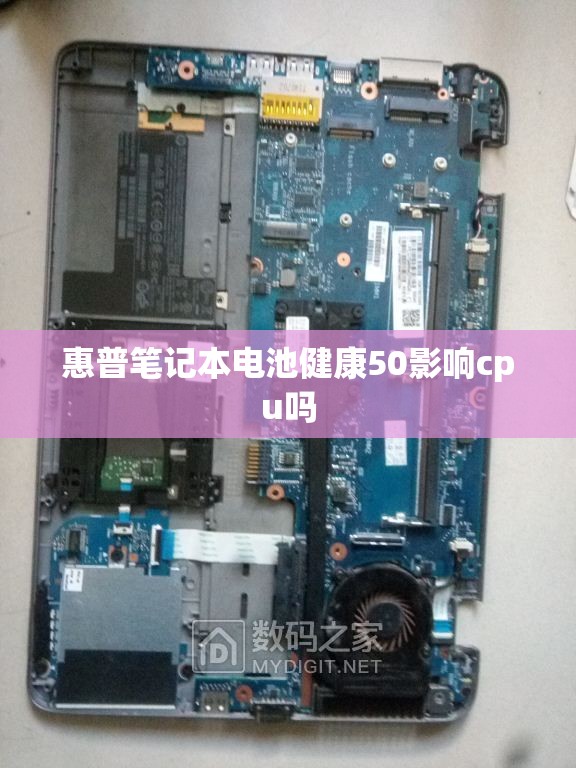 朴树下山桩如何栽活