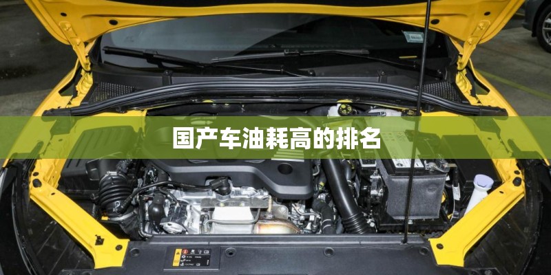 有什么可以在宿舍种植的可以吃的果蔬？_1