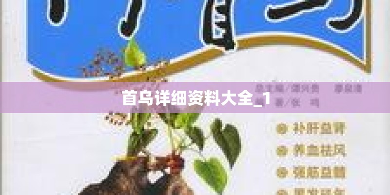 首乌详细资料大全_1