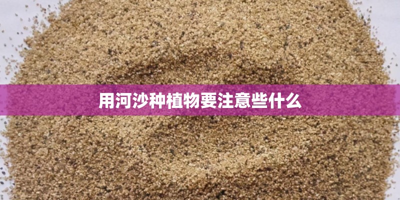 用河沙种植物要注意些什么
