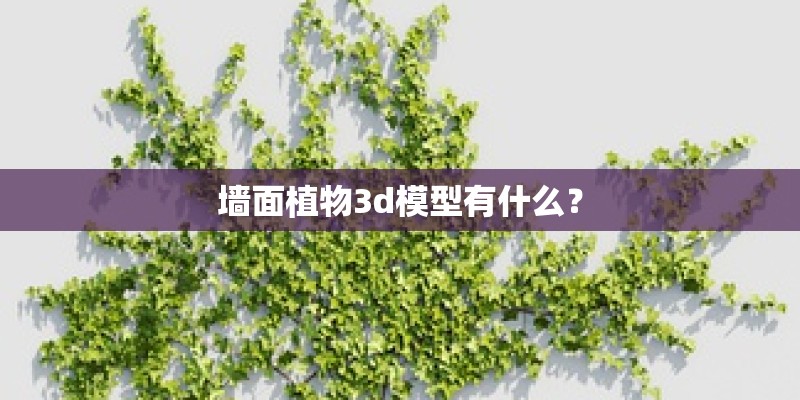 墙面植物3d模型有什么？