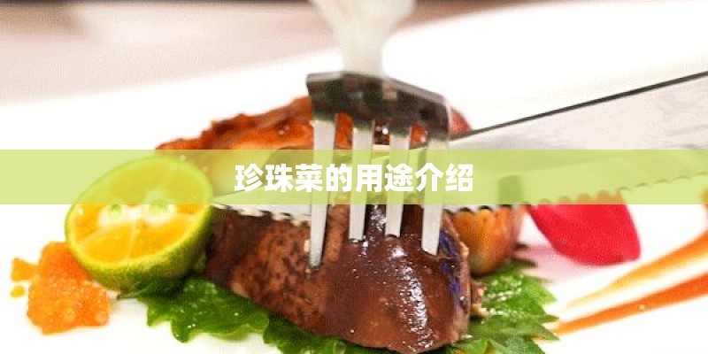 珍珠菜的用途介绍