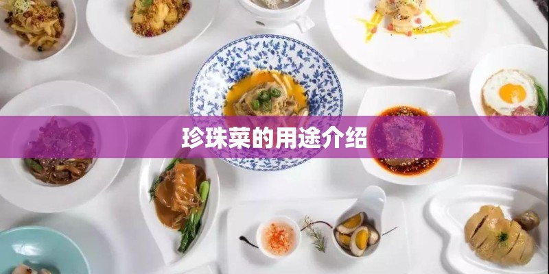 珍珠菜的用途介绍