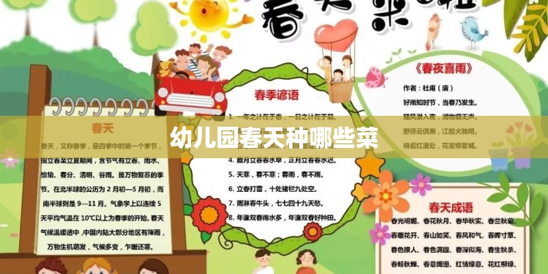 幼儿园春天种哪些菜