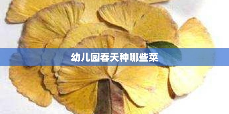 幼儿园春天种哪些菜