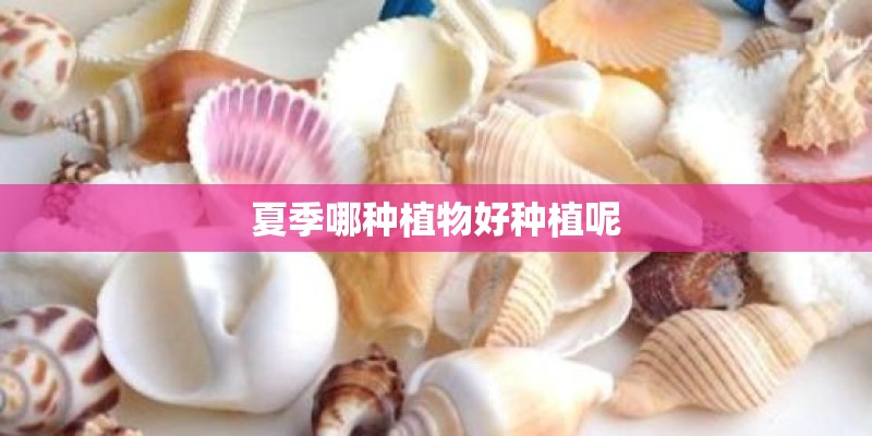 夏季哪种植物好种植呢 夏季哪种植物好种植呢