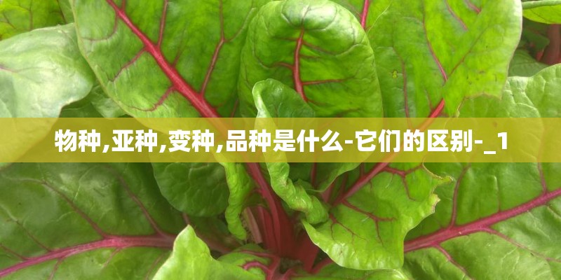 物种,亚种,变种,品种是什么-它们的区别-_1 物种,亚种,变种,品种是什么-它们的区别-_1