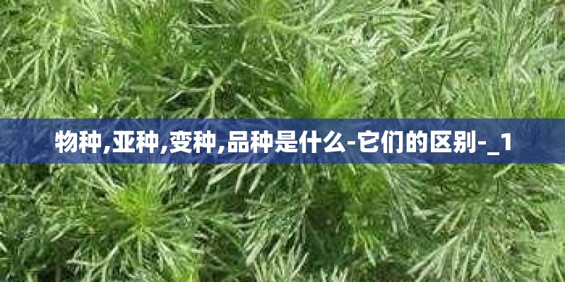 物种,亚种,变种,品种是什么-它们的区别-_1 物种,亚种,变种,品种是什么-它们的区别-_1