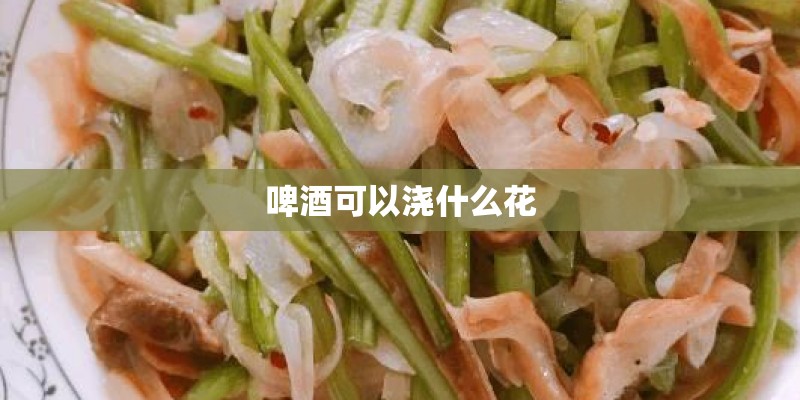 啤酒可以浇什么花 啤酒可以浇什么花
