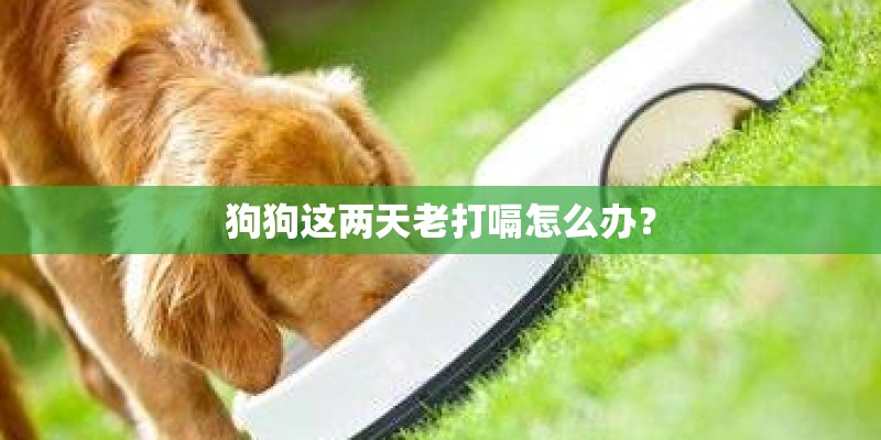 狗狗这两天老打嗝怎么办？