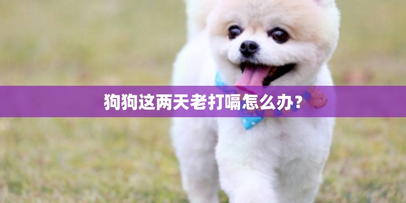 狗狗这两天老打嗝怎么办？