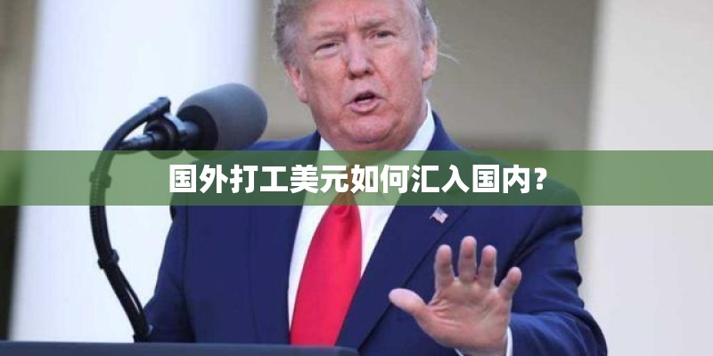 国外打工美元如何汇入国内? 国外打工美元如何汇入国内?