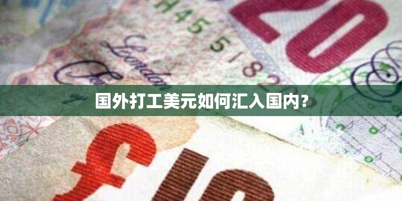 国外打工美元如何汇入国内? 国外打工美元如何汇入国内?