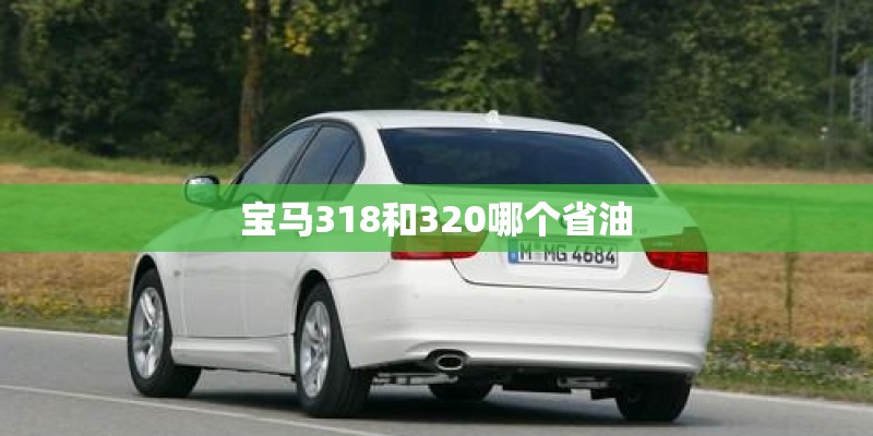 宝马318和320哪个省油