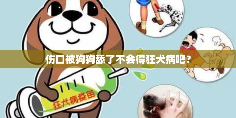 伤口被狗狗舔了不会得狂犬病吧？