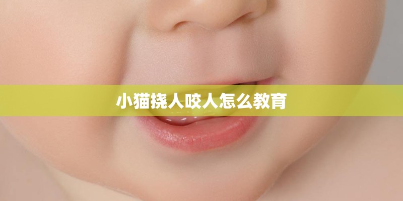 小猫挠人咬人怎么教育