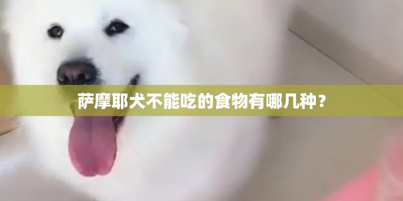 萨摩耶犬不能吃的食物有哪几种？