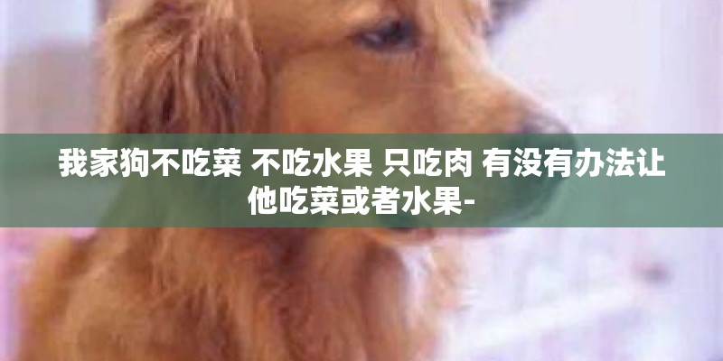 我家狗不吃菜 不吃水果 只吃肉 有没有办法让他吃菜或者水果-