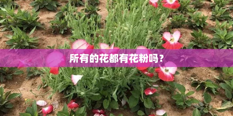 所有的花都有花粉吗？