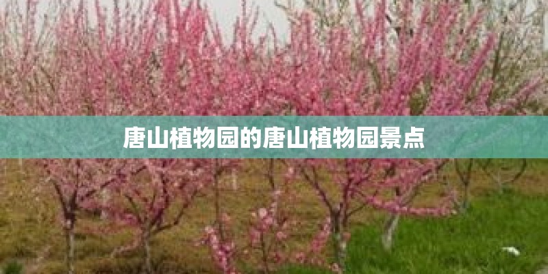 唐山植物园的唐山植物园景点