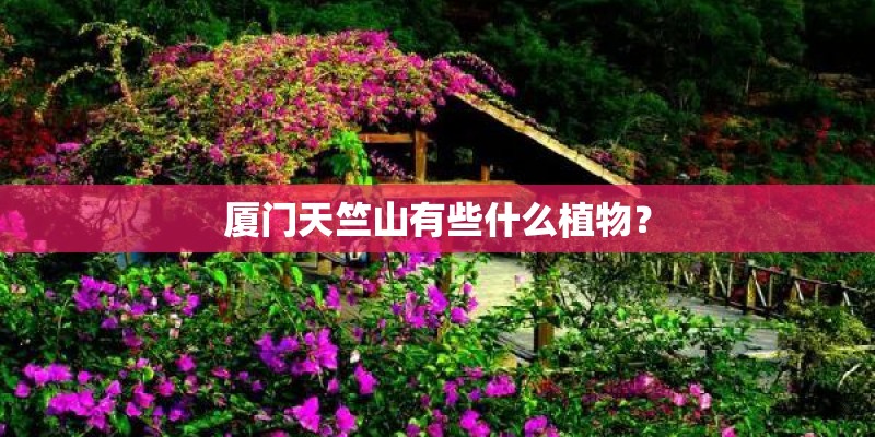 厦门天竺山有些什么植物? 厦门天竺山有些什么植物?