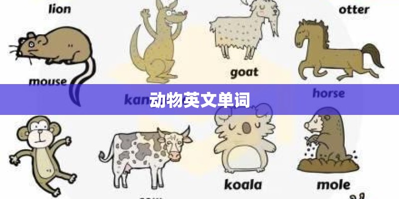 动物英文单词