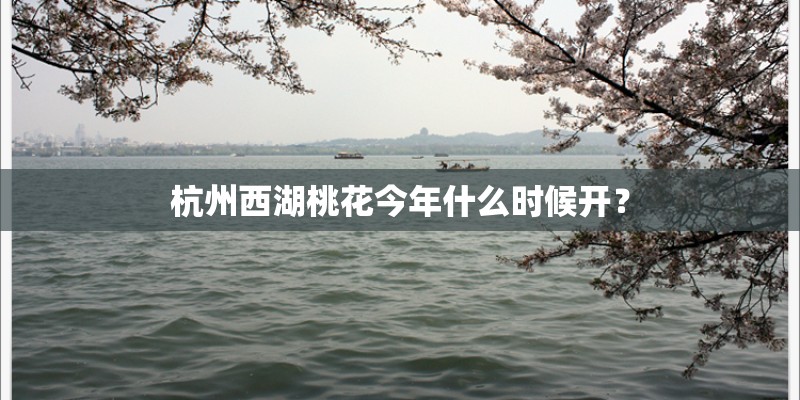 杭州西湖桃花今年什么时候开？