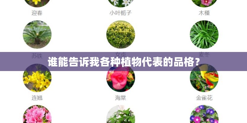 谁能告诉我各种植物代表的品格? 谁能告诉我各种植物代表的品格?