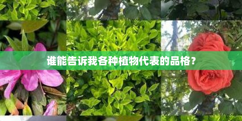 谁能告诉我各种植物代表的品格? 谁能告诉我各种植物代表的品格?