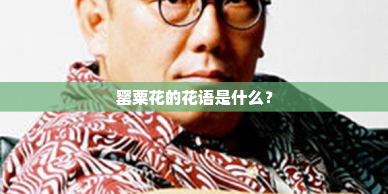 罂粟花的花语是什么？