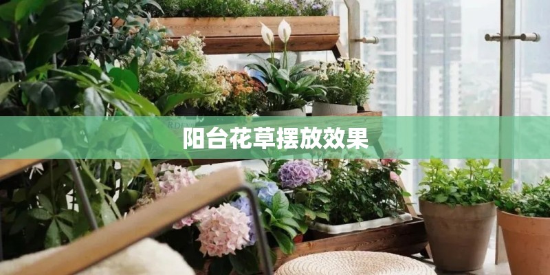 阳台花草摆放效果