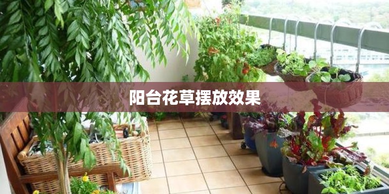 怎样培育蒜黄芽苗菜？