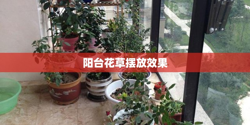 阳台花草摆放效果