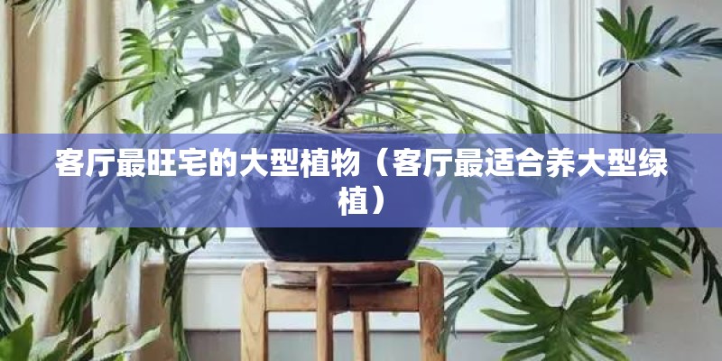 YSL唇釉怎么识别真假？