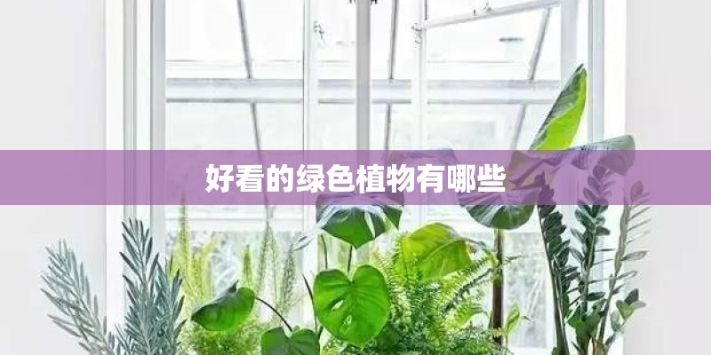 好看的绿色植物有哪些