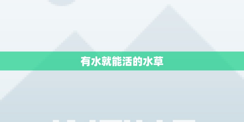 有水就能活的水草