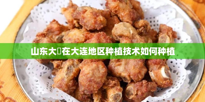山东大祘在大连地区种植技术如何种植