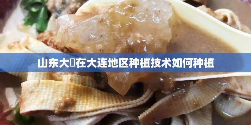 山东大祘在大连地区种植技术如何种植
