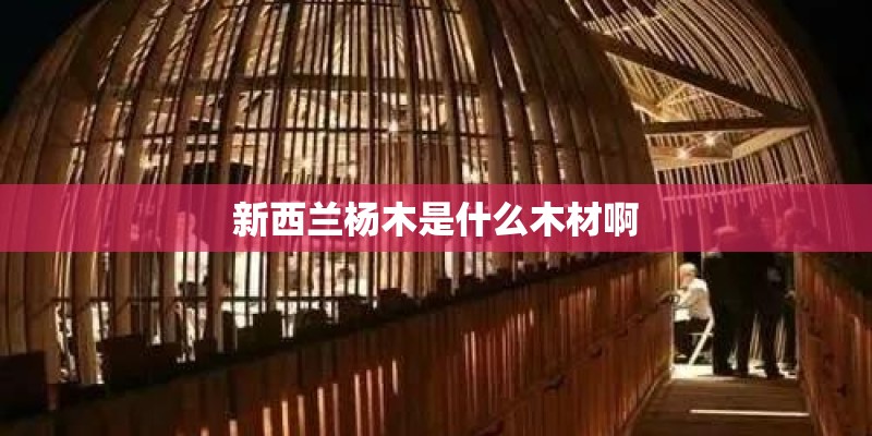 新西兰杨木是什么木材啊