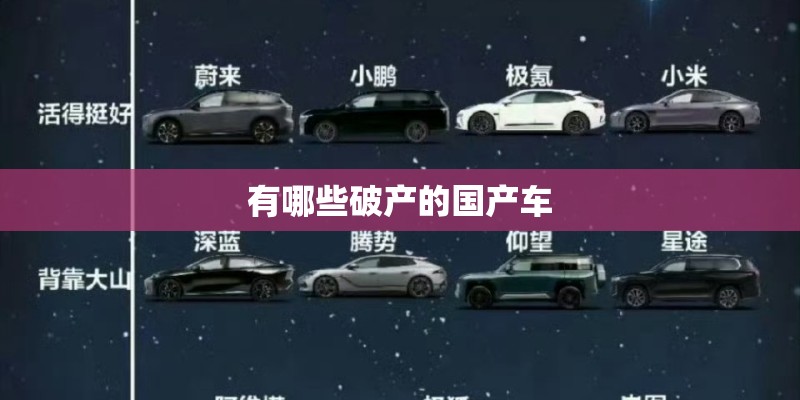 有哪些破产的国产车