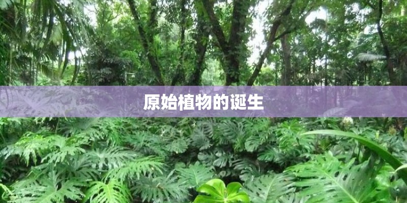 原始植物的诞生