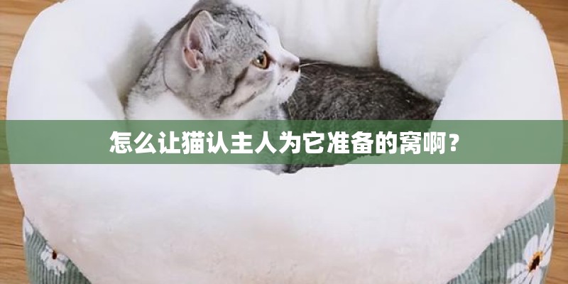 幼儿园大班教案《移栽青菜》