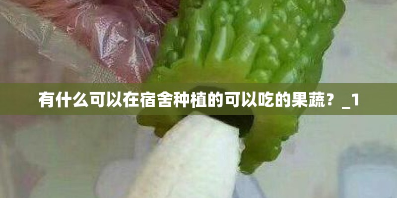 有什么可以在宿舍种植的可以吃的果蔬？_1
