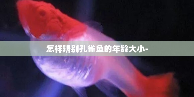 雪弗兰共有多少车型 (车名加英文对照) 雪弗兰共有多少车型 (车名加英文对照)
