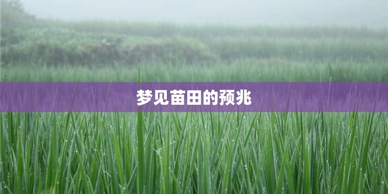 东风本田哥瑞什么颜色好看