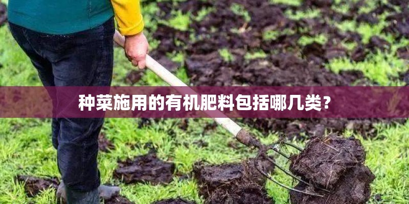 种菜施用的有机肥料包括哪几类? 种菜施用的有机肥料包括哪几类?