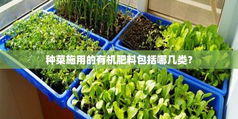 种菜施用的有机肥料包括哪几类? 种菜施用的有机肥料包括哪几类?