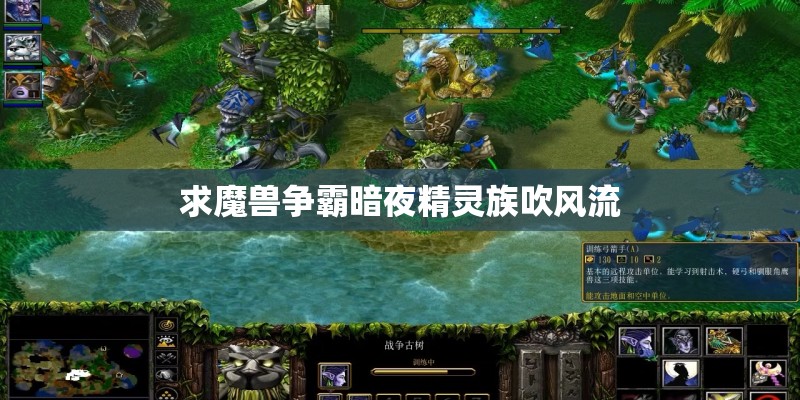 求魔兽争霸暗夜精灵族吹风流