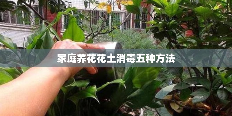 家庭养花花土消毒五种方法