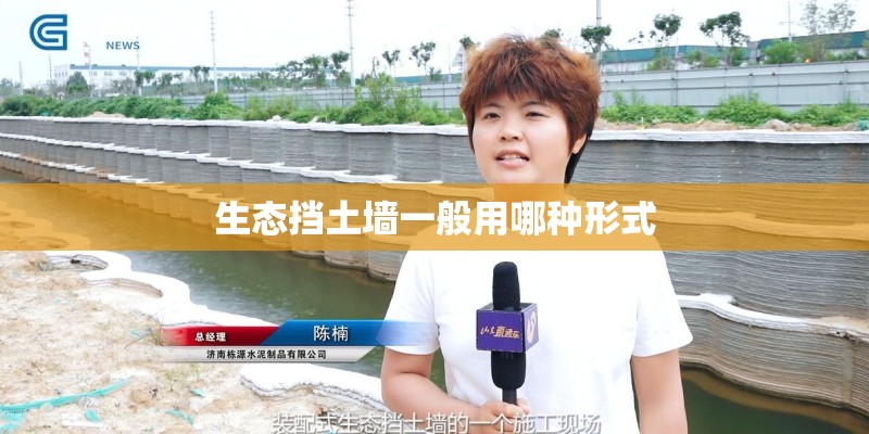 生态挡土墙一般用哪种形式